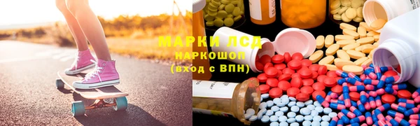 ГАЛЛЮЦИНОГЕННЫЕ ГРИБЫ Волосово