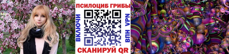 Купить где  Новый Оскол  Псилоцибиновые грибы ЛСД 